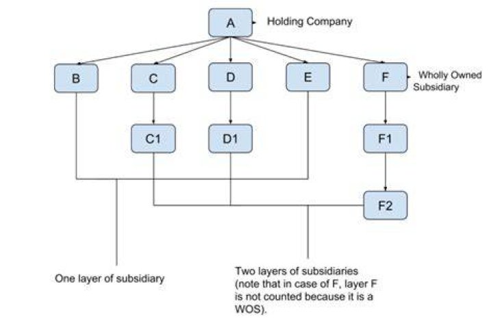 Can a company be a subsidiary of two companies?