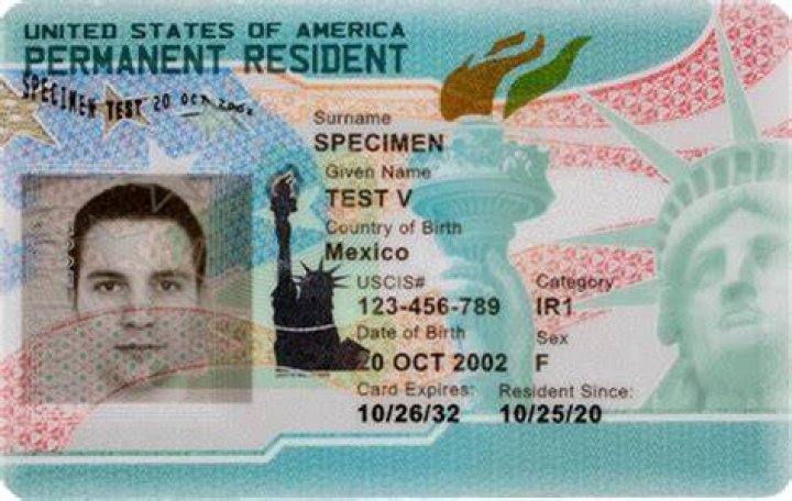 Can a resident alien own an LLC?