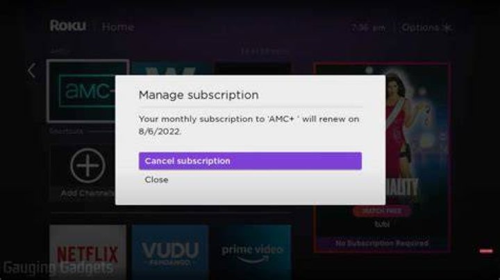 Can I cancel my Roku account?