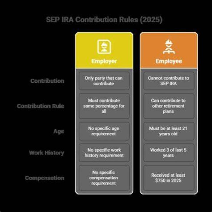 Can S corp shareholder contribute Sep?