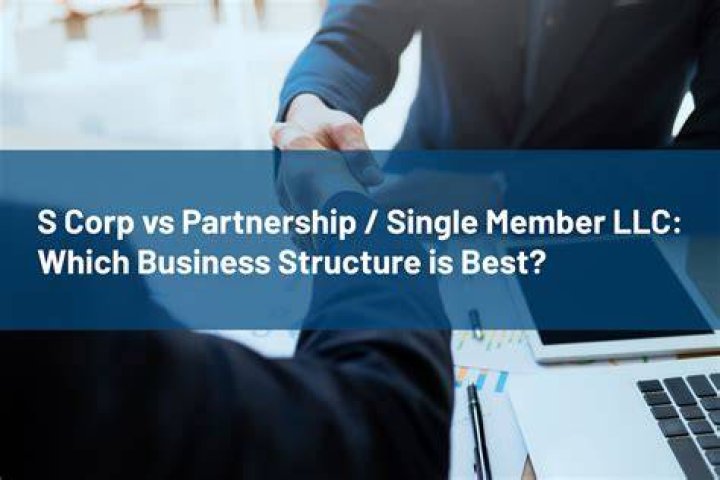 Can there be a single member S corp?