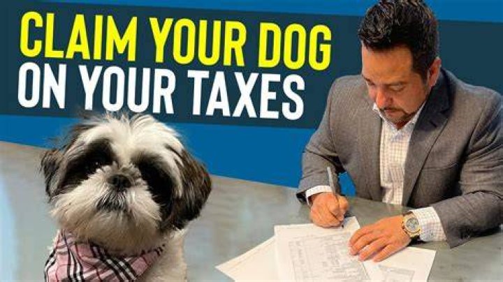 Can you claim your dog as a dependent on your taxes?