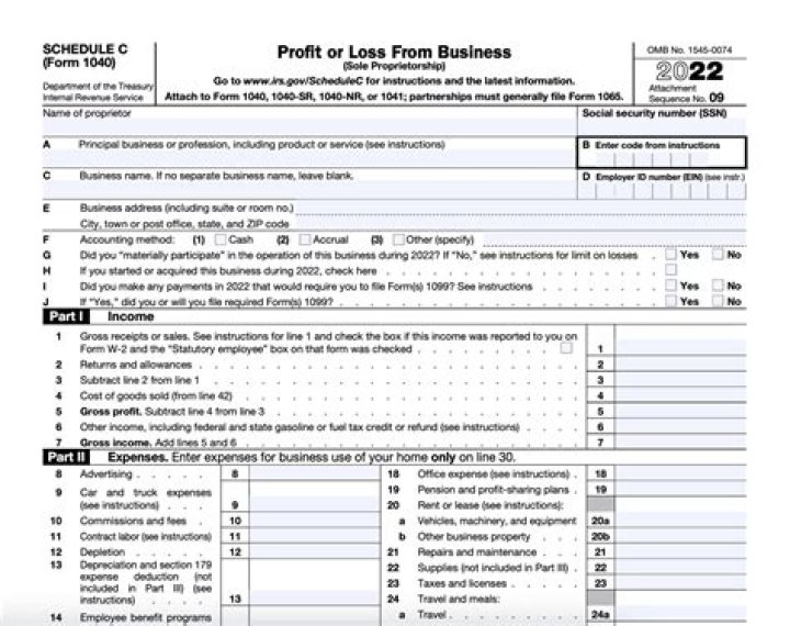 Can you report LLC income on Schedule C?