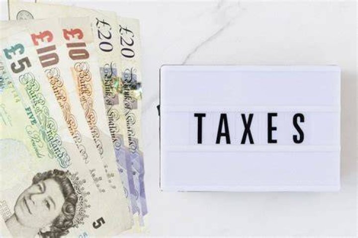 Do owners pay taxes?