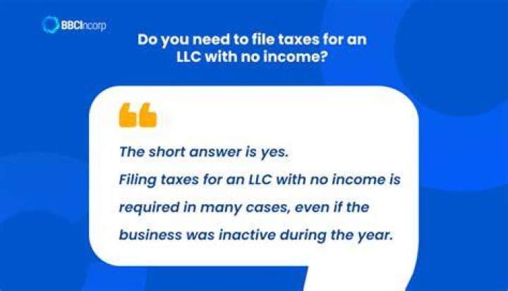 Do you need to file taxes for a LLC with no income?