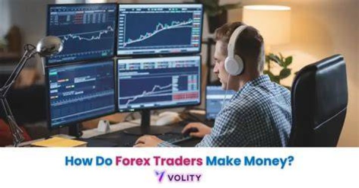 How do commodities traders make money?