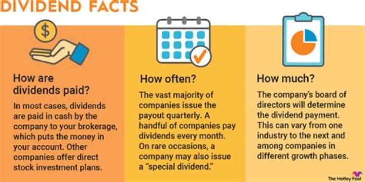 How do I get a dividend report?