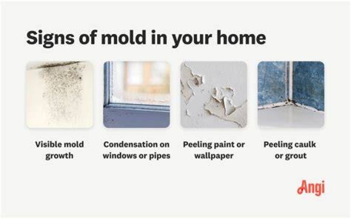 How do I keep mold out of my summer house?