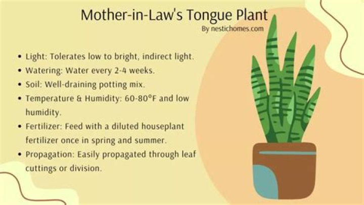 How do I take care of my mother-in-law?