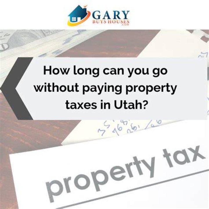 How long can you go without paying property taxes in Georgia?
