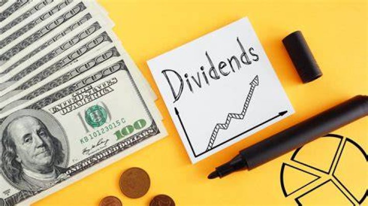 How much dividends do I need to report on taxes?
