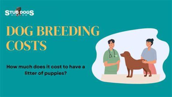 How much does it cost to start dog breeding?