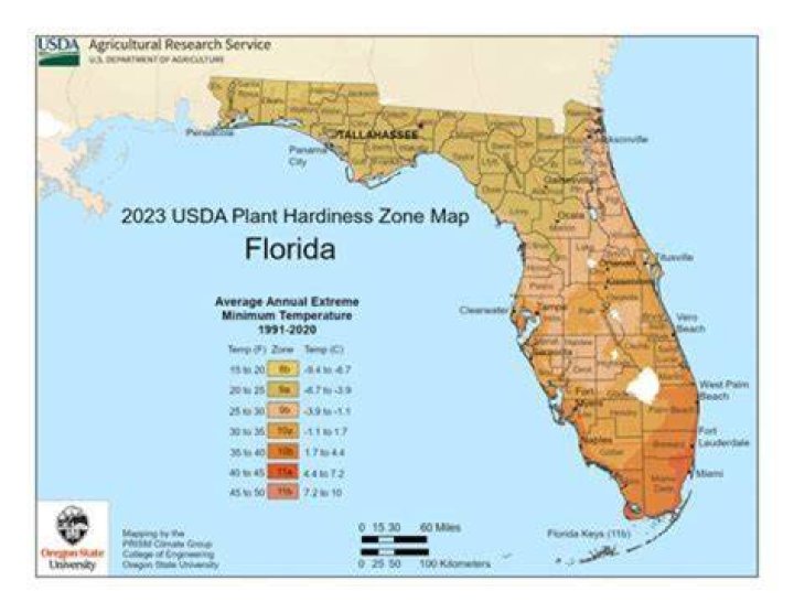 Is Florida File legit?