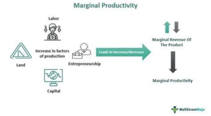 What affects the marginal productivity of a worker?