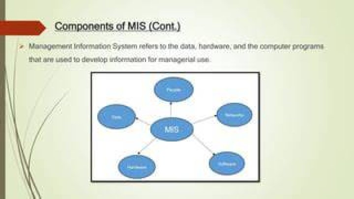 What are the 4 components of MIS?