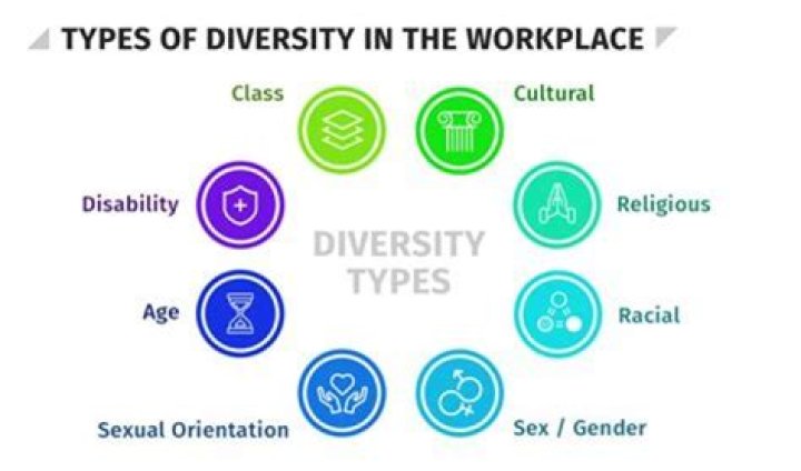 What are the 6 best strategies for working with diversity?