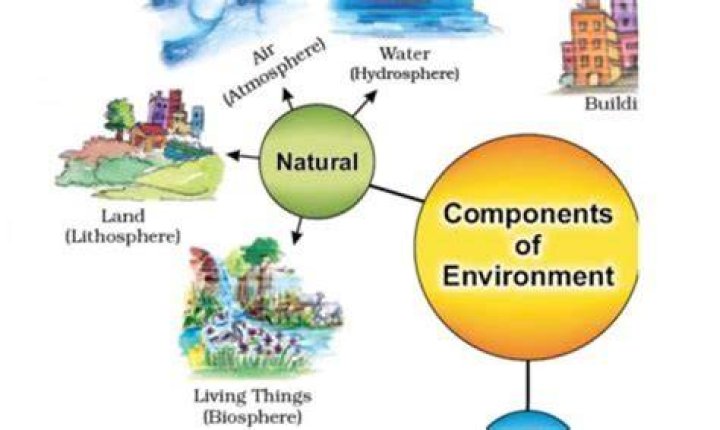 What are the three elements of consumption experience?