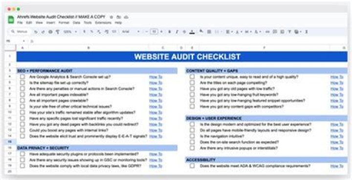 What does a tax audit do?