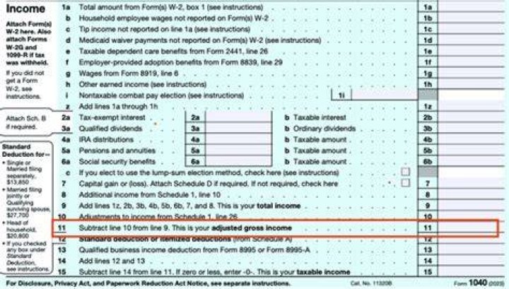 What is adjusted gross income for LLC?