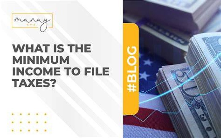 What is the minimum income to file taxes in Florida?
