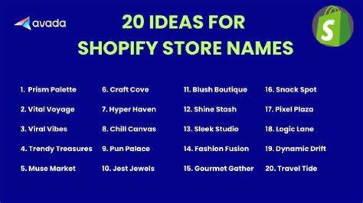 What is the number 1 Shopify store?