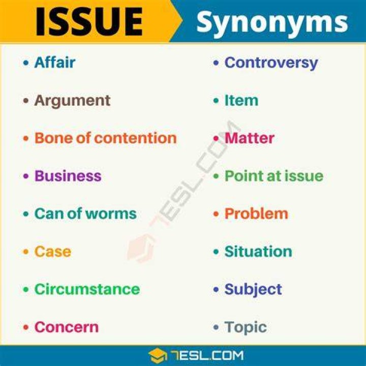 What is the synonym of issue?