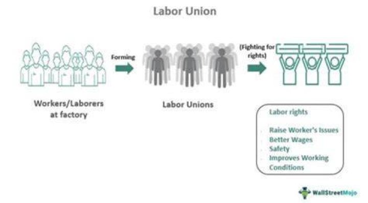 What makes a successful labor union?