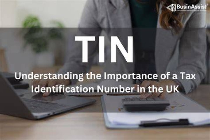 Where can I find my TIN number UK?