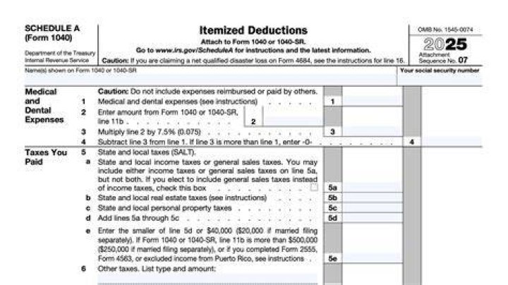 Where does line 5a on Schedule A come from?