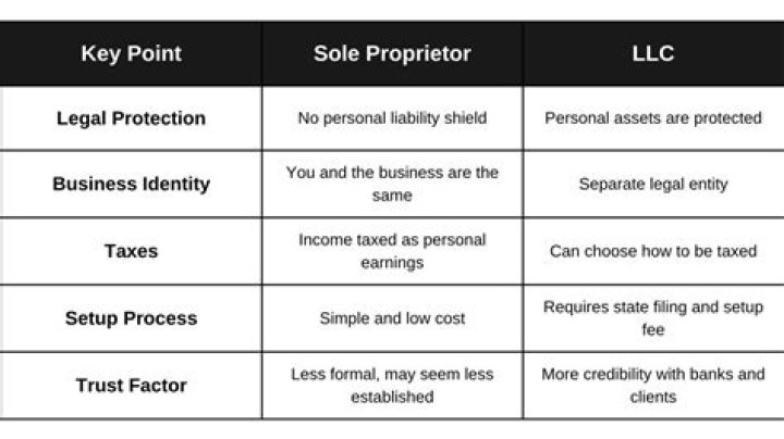 Who is a sole proprietor in a LLC?