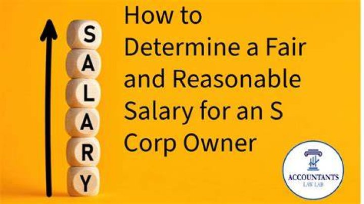 Who is considered the owner of a s Corp?